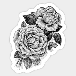Black Rose Flowers Vintage Print Sticker